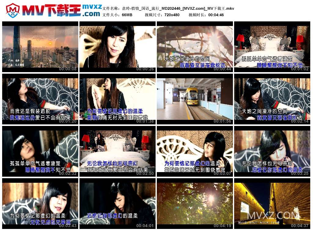 意玲-惜情_国语_流行_MD202446